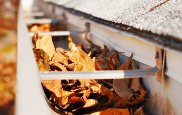 Crow Nest gutter cleaning companies
